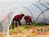 广东省中国经济社会发展的稳定保障